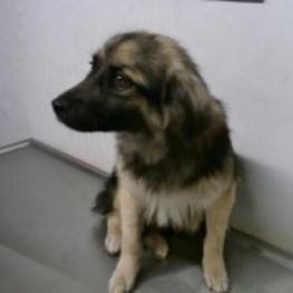 D 34291c87 72b8 47f2 a5a4 973f622ab2e0