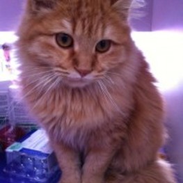 D a3fe35a8 6aed 4aa0 a49f f8758b2a189c