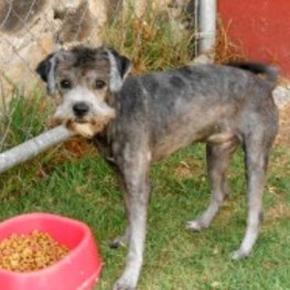 D 06300792 2651 4957 92ef 61f090c983f7