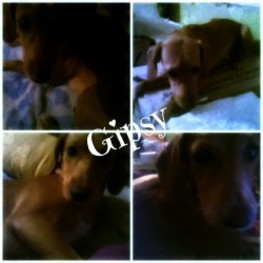 D 6c08eec8 36e2 4700 b906 cd579c6e01f7