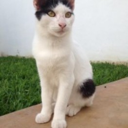 D dcfb0944 c06c 4453 8344 980dd768f528