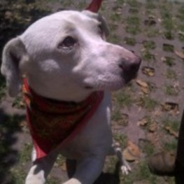 D 6348dc51 4cd2 4c1c a960 82b292dbdabf