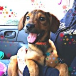 D 8d50a391 6881 42ae 8bf7 35fdeac8d0cd