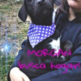 D ae3cfea4 bf2f 4209 82e1 1781c496594e