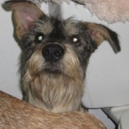 D 7cdd9e23 42fa 461c 97f0 704cf3b61fc8