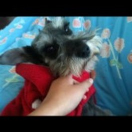 D 66993dd0 b699 498c a7df 008d912c8498