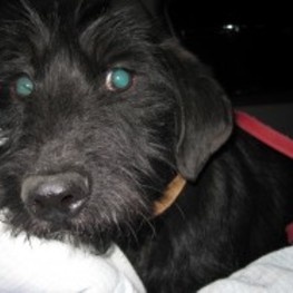 D 75f2b360 9ff7 4348 9345 84104bc756e9