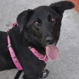 D 3d3e8902 e6a0 4549 b495 a26f6ec9e8c9