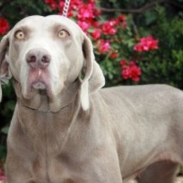 D e14ced7f a943 4bbb 849e 6e97352cef84