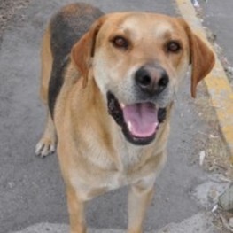 D 5737d016 902b 47ae 8ec1 bc1f338324f0