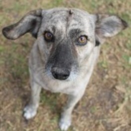 D 8d7f9825 ed44 4186 a60a 13e9e7299f08