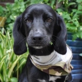 D a1f8f53d c95f 412d aef3 f44acc6cf127