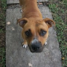 D 79f9c4a5 d760 46b7 83e3 770132d2c6ce