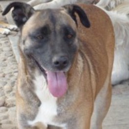 D b7ebdc23 1aa6 4647 966c c3cb4a2f044f