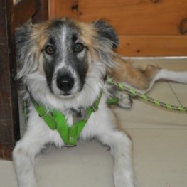 D 0692f59e 31f6 404b 9114 a19497dc0c6a