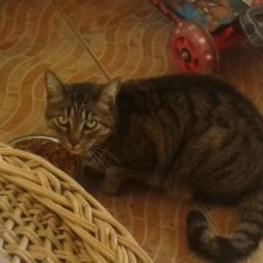 D 5de04118 c905 4039 bcec 1d3cef21ac17