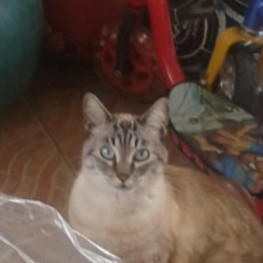 D b7ccd3fb 9220 4cf7 984c 530b9e2e92e9