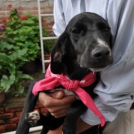 D 37706b7f 6c40 48bf 88b2 933707c19270