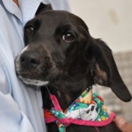 D 4202c01b fd1d 4232 86e7 4747015edffd