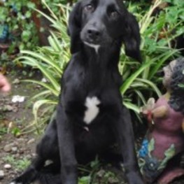 D f2482615 bcd1 4811 a674 ce6465036820