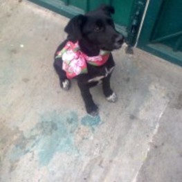 D 77a0abd8 cb3f 48f4 8f53 24796882c80c