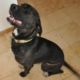 D d6e99eb9 7408 4023 b71c 222a18e5e05e