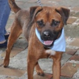 D 0680006e 2920 43bb a26c cf46c07f7647