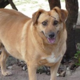 D 2c61383d dcc0 4870 b5cd ac5e7fd0cf13