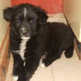 D e54d7943 d3f6 4c57 92fe 2534cf2839f3