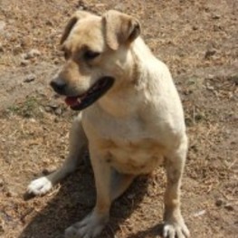 D 4f5a2407 bec7 4bd1 be4d ef9108bbe87b