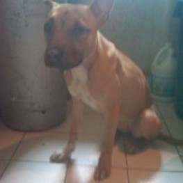 D 420d0892 e69f 4c2c 9d2d c1ffa8cb0557