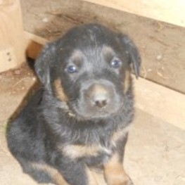 D ea48b3d0 c16f 4e37 b3b3 1be12c02a50b