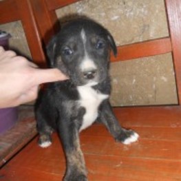 D e8fdc6a5 d090 48cd a08e fac9e5458b55