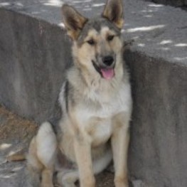 D c99ced35 3f97 4345 b3a1 40de64f3554e