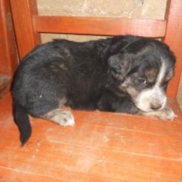 D 1ee94692 1335 488e 8043 fb686ea31d9a