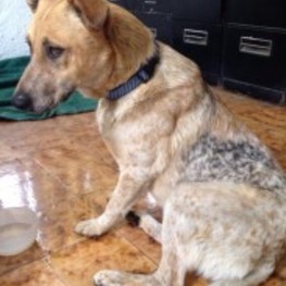 D b4ccb4cf c72e 4c6f bb3a daec4ff87fe7