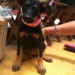 D 1ed07ae7 fea4 4e0c 93d9 c3270459e667