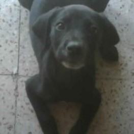 D 9fbf4e49 81b1 4406 9667 5cbe3d08e8a5