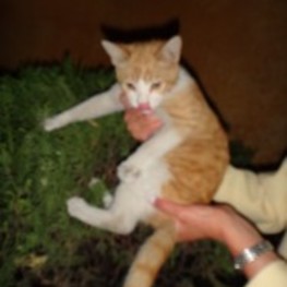 D 09ff9cad 5289 4a6b 8c07 3794fa834f40