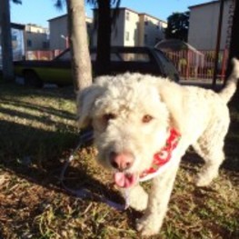 D 188a1ddf 821e 4ad2 ae64 7513c3200987