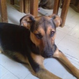 D 9e3537a5 c1b4 4dec 8a1e 85ae3894b776