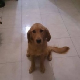 D 720ffc95 6936 4e82 8547 b9fea7b2bcad