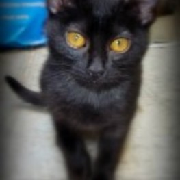 D 78fd79fc 9a13 494a bbe9 352e5c6fd3c4