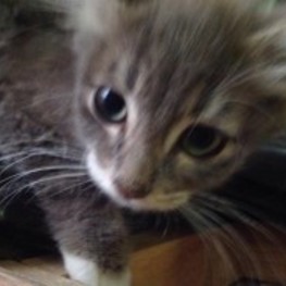 D 83e5c84b d489 4e83 949b 7cf1fbdfd9e0