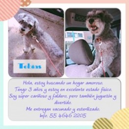 D c0d3f362 51df 430c 8cad cf710e1f4e7e