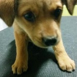 D 2db3e92d 14e5 42aa bb23 db98877c8df1