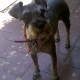 D d6476529 f958 455a 83b9 ad951bbc4443