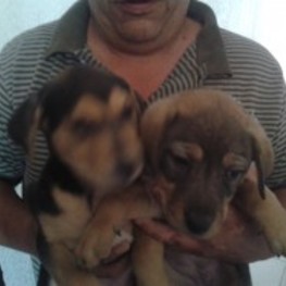 D 5e912957 ecce 45e5 979a 1722cd1442a7