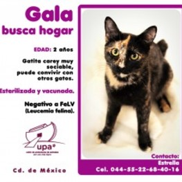 D 00e3fc5d cd66 468e b109 d6099ed4d969