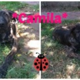 D 26a4855c da14 46e9 a649 9f9b19daf71e